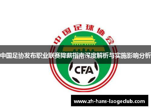 中国足协发布职业联赛降薪指南深度解析与实施影响分析