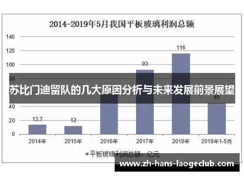 苏比门迪留队的几大原因分析与未来发展前景展望 苏比门迪留队的几大原因分析与未来发展前景展望