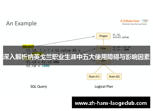 深入解析纳英戈兰职业生涯中五大使用障碍与影响因素